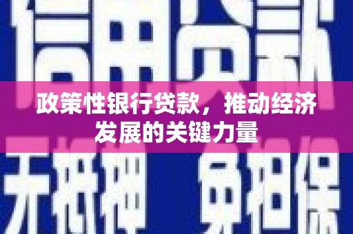 琼海政策性银行贷款，推动经济发展的关键力量