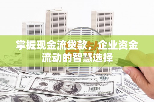 琼海掌握现金流贷款，企业资金流动的智慧选择
