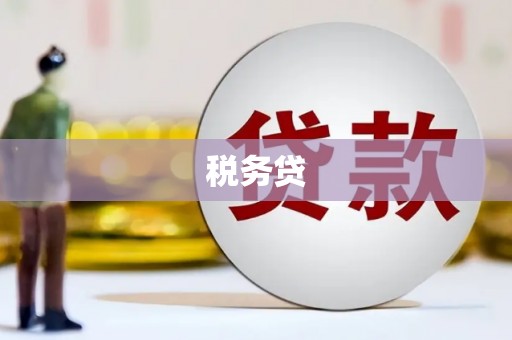 琼海税务贷