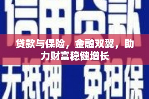 琼海贷款与保险，金融双翼，助力财富稳健增长