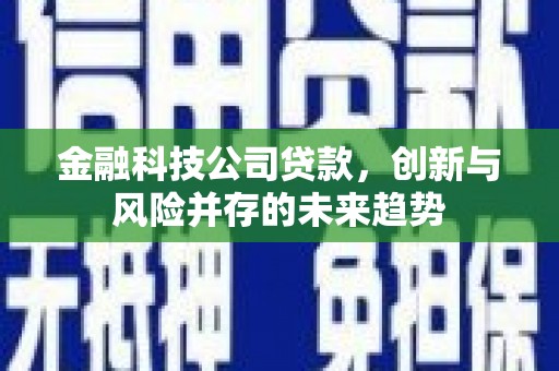 琼海金融科技公司贷款，创新与风险并存的未来趋势