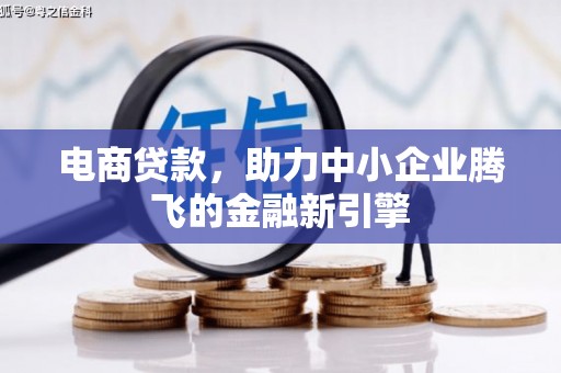琼海电商贷款，助力中小企业腾飞的金融新引擎