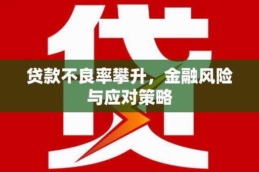 琼海贷款不良率攀升，金融风险与应对策略