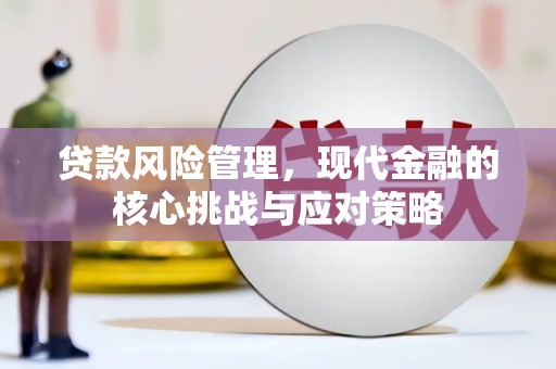 琼海贷款风险管理，现代金融的核心挑战与应对策略