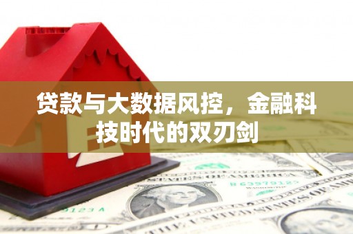 琼海贷款与大数据风控，金融科技时代的双刃剑