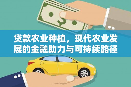 琼海贷款农业种植，现代农业发展的金融助力与可持续路径