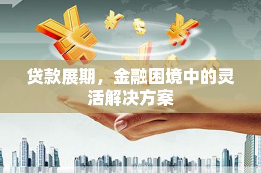 琼海贷款展期，金融困境中的灵活解决方案