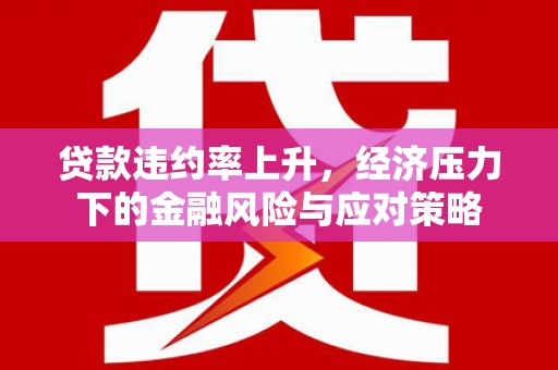 琼海贷款违约率上升，经济压力下的金融风险与应对策略