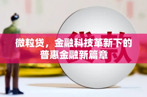 琼海微粒贷，金融科技革新下的普惠金融新篇章