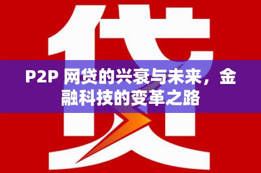 琼海P2P 网贷的兴衰与未来，金融科技的变革之路