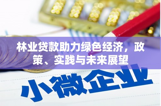 琼海林业贷款助力绿色经济，政策、实践与未来展望