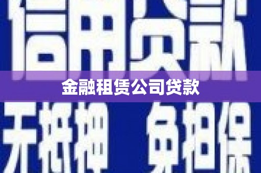 琼海金融租赁公司贷款