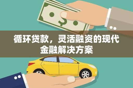 琼海循环贷款，灵活融资的现代金融解决方案