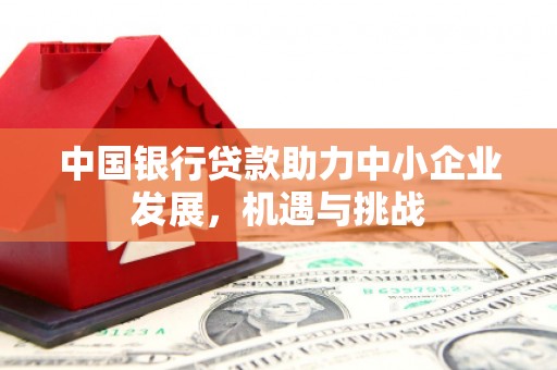 琼海中国银行贷款助力中小企业发展，机遇与挑战
