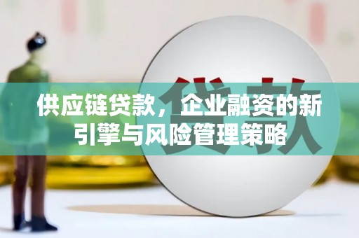 琼海供应链贷款，企业融资的新引擎与风险管理策略