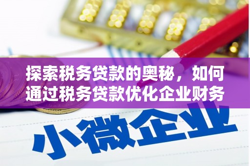 琼海探索税务贷款的奥秘，如何通过税务贷款优化企业财务