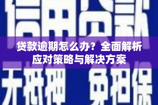琼海贷款逾期怎么办？全面解析应对策略与解决方案