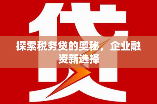 琼海探索税务贷的奥秘，企业融资新选择