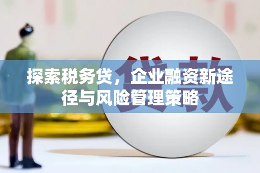 琼海探索税务贷，企业融资新途径与风险管理策略