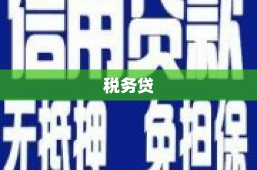 琼海税务贷