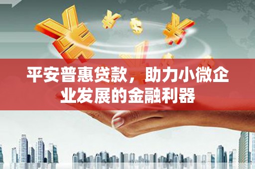 琼海平安普惠贷款，助力小微企业发展的金融利器