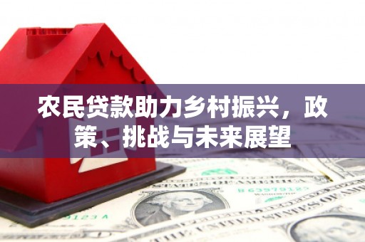 琼海农民贷款助力乡村振兴，政策、挑战与未来展望