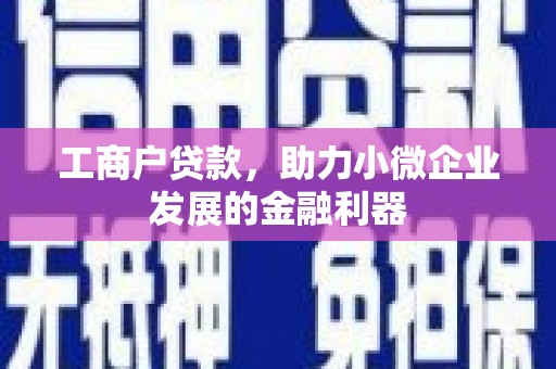 琼海工商户贷款，助力小微企业发展的金融利器