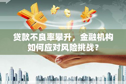 琼海贷款不良率攀升，金融机构如何应对风险挑战？