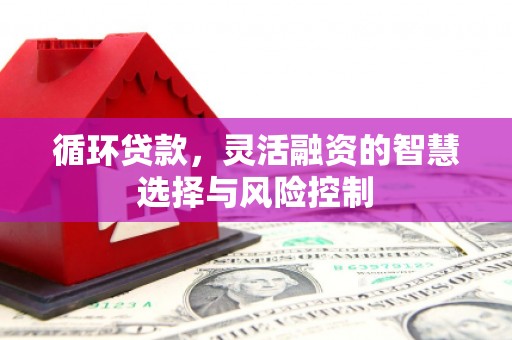 琼海循环贷款，灵活融资的智慧选择与风险控制