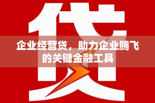 琼海企业经营贷，助力企业腾飞的关键金融工具