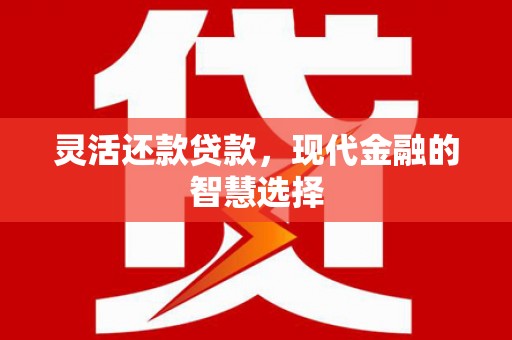 琼海灵活还款贷款，现代金融的智慧选择