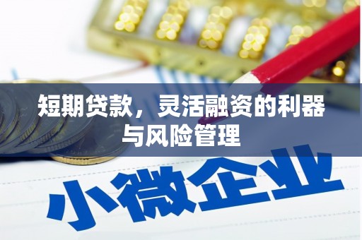 琼海短期贷款，灵活融资的利器与风险管理
