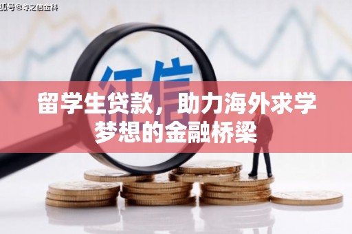 琼海留学生贷款，助力海外求学梦想的金融桥梁
