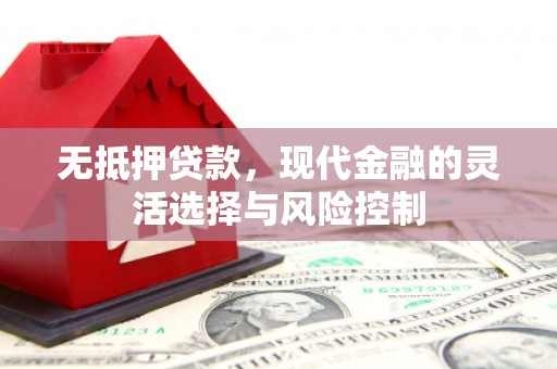 琼海无抵押贷款，现代金融的灵活选择与风险控制