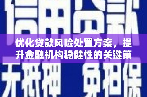 琼海优化贷款风险处置方案，提升金融机构稳健性的关键策略