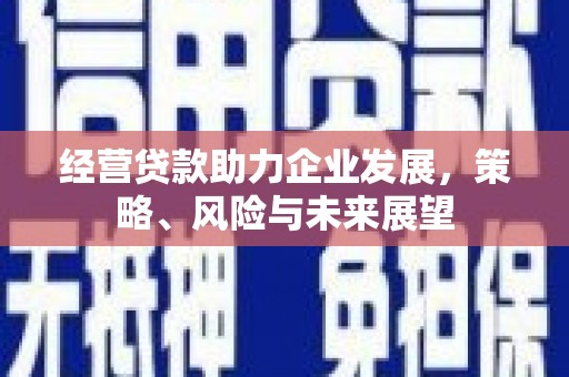 琼海经营贷款助力企业发展，策略、风险与未来展望