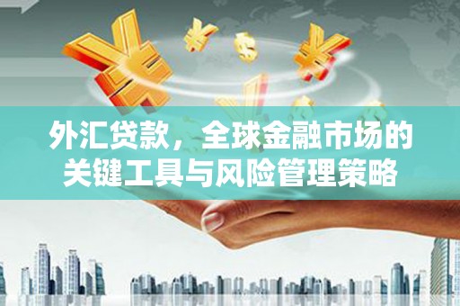琼海外汇贷款，全球金融市场的关键工具与风险管理策略