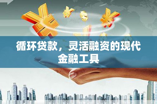 琼海循环贷款，灵活融资的现代金融工具