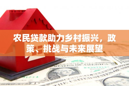 琼海农民贷款助力乡村振兴，政策、挑战与未来展望