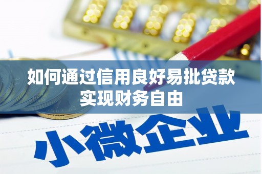 琼海如何通过信用良好易批贷款实现财务自由