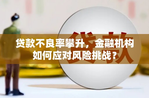 琼海贷款不良率攀升，金融机构如何应对风险挑战？