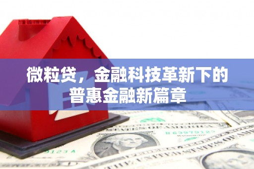 琼海微粒贷，金融科技革新下的普惠金融新篇章