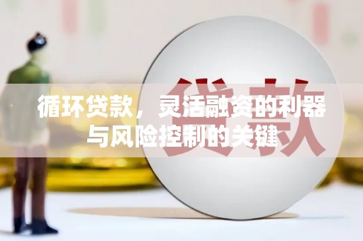 琼海循环贷款，灵活融资的利器与风险控制的关键