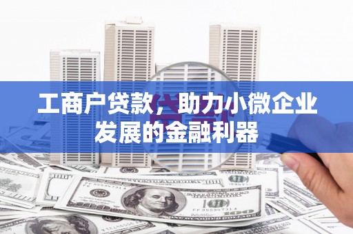 琼海工商户贷款，助力小微企业发展的金融利器