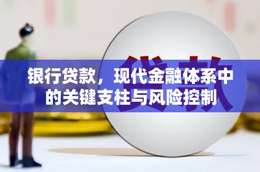 琼海银行贷款，现代金融体系中的关键支柱与风险控制