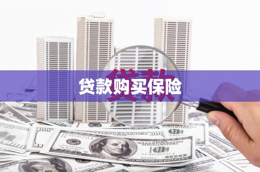 琼海贷款购买保险