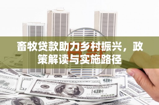 琼海畜牧贷款助力乡村振兴，政策解读与实施路径