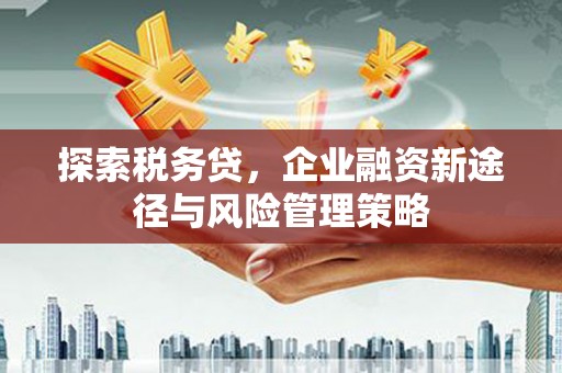 琼海探索税务贷，企业融资新途径与风险管理策略
