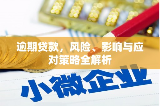 琼海逾期贷款，风险、影响与应对策略全解析