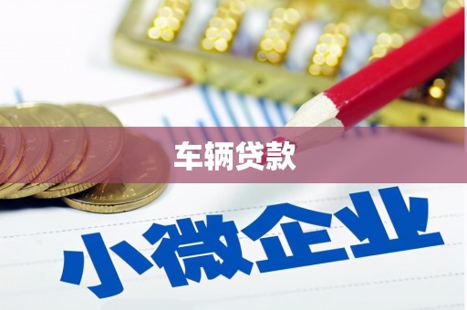 琼海车辆贷款